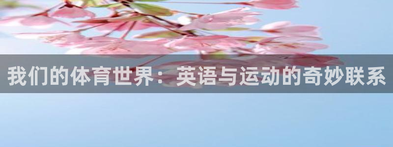 178体育直播比赛官网