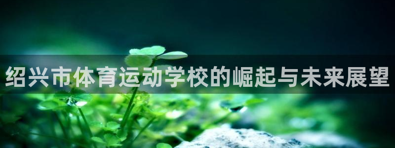 178体育nba在线直播：绍兴市体育运动学校的崛起与未来展望