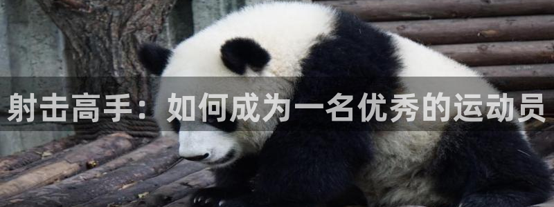 178体育免费观看