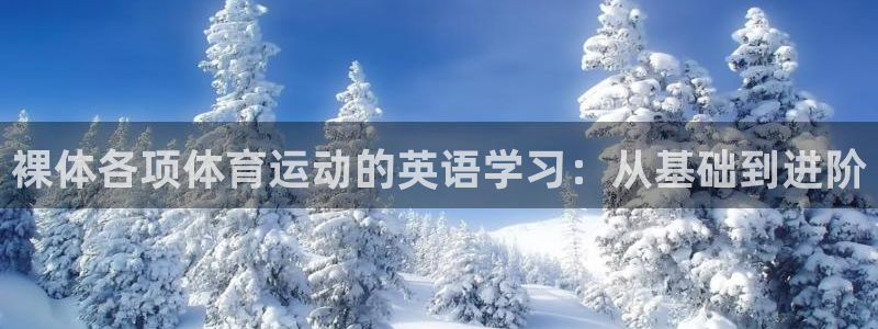 178体育赛事免费